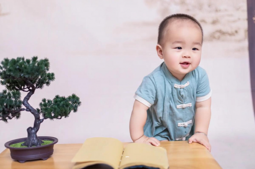 成都可爱的企鹅宝宝